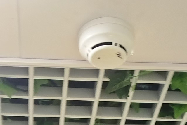 煙感報警2024109193.jpg
